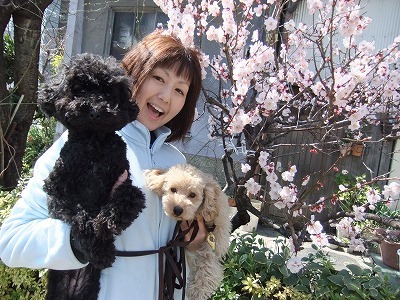 犬のしつけ成長日記doglyブログ1 Yoshikiアーカイブ